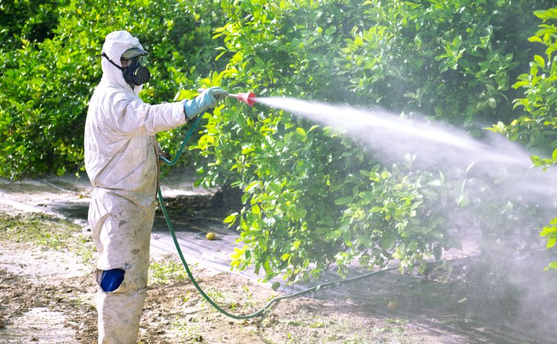 Commercial Fumigation in Marietta, GA