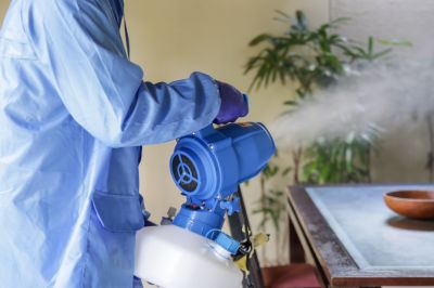 Commercial Fumigation in Naperville, IL