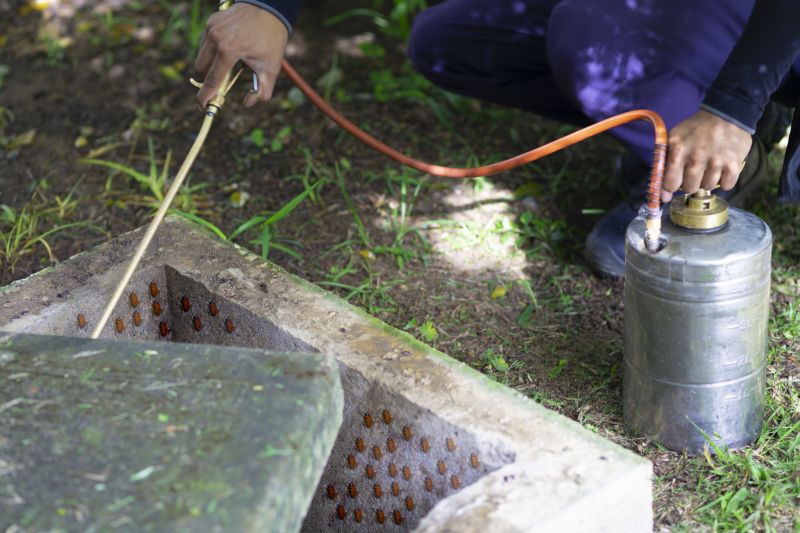 Fumigation Service in Cumming, GA