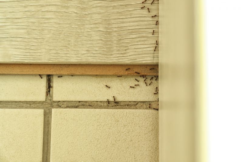 Ant Control Service