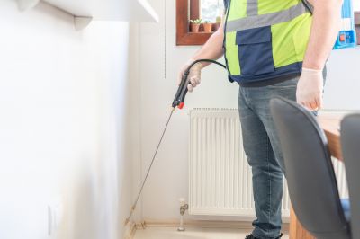 Ant Control Service