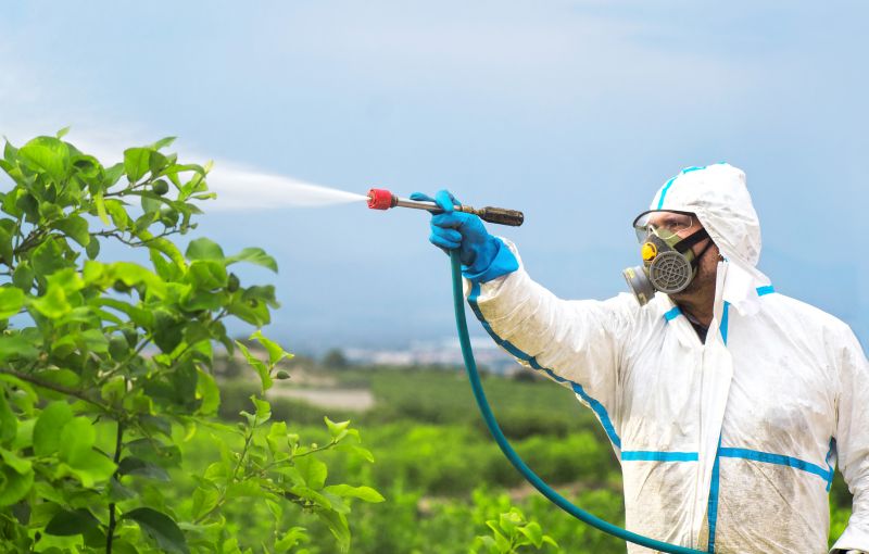 Fumigation Service in Columbus, OH