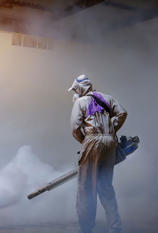 Rat Fumigation Service in Tampa, FL