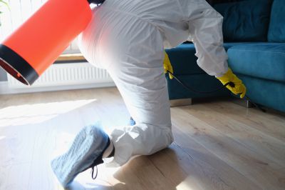 Spider Fumigation Service in Myrtle Beach, SC