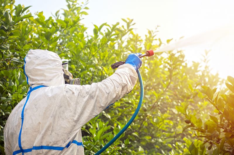 Spider Fumigation Service in San Jose, CA